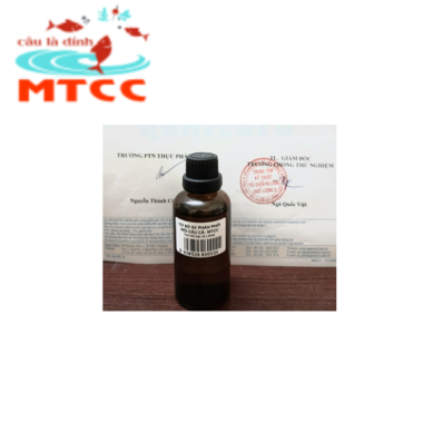 TINH THỂ BẠC HÀ TRẮNG